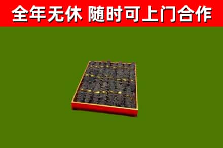 徐汇区回收海参